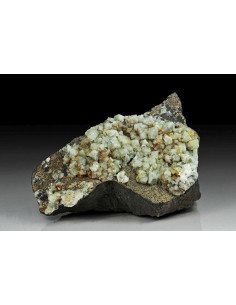 WARDITE