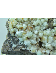 WARDITE 2