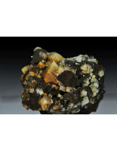 WARDITE 2