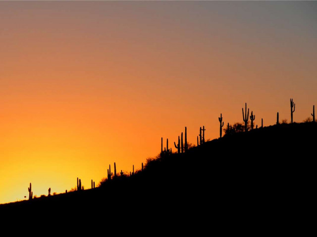 Sunset in Arizona